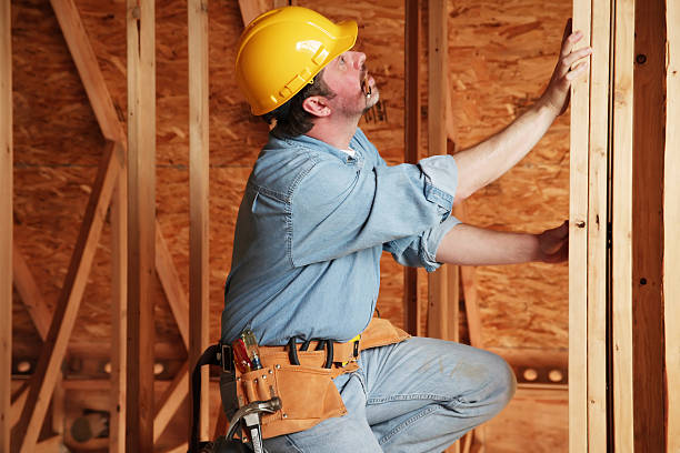 Best Insulation for New Construction  in Crystal Lake, IL